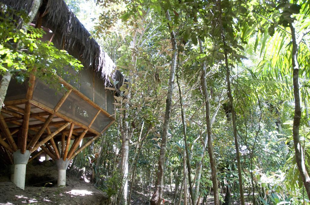 Universo Pol Bamboo Hostel Morro de São Paulo Kamer foto